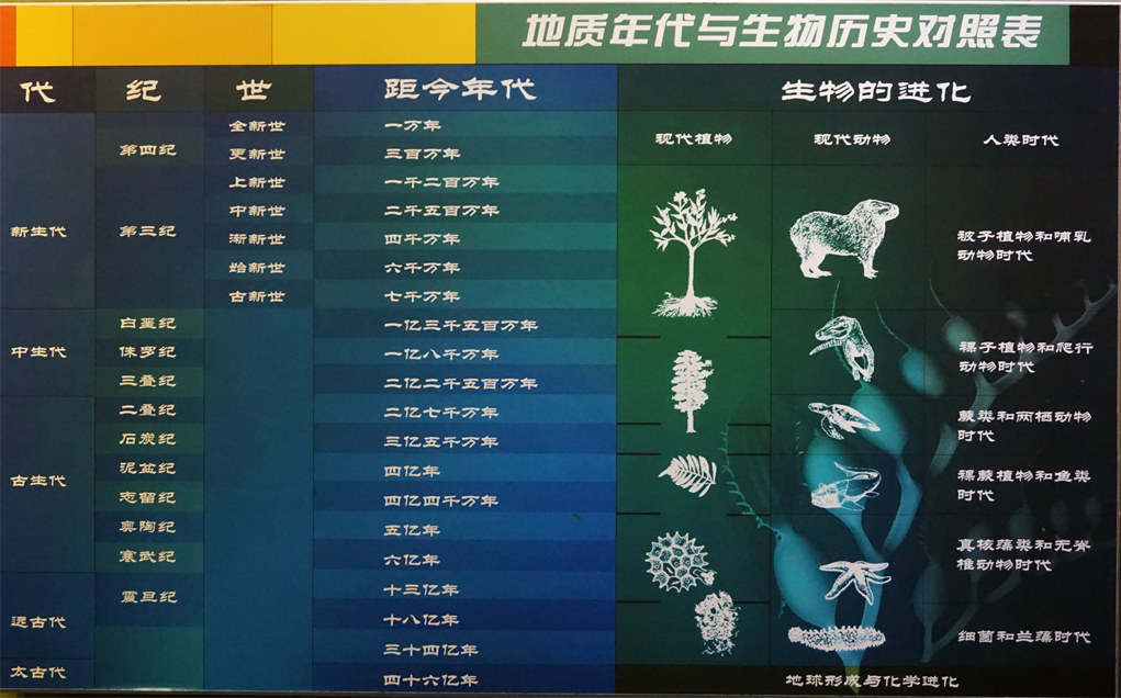 通过地质年代与生物历史对照表,我们可以了解不同年代有代